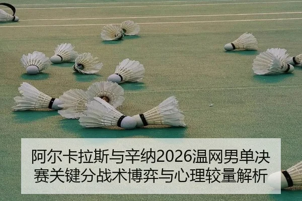 a-er-ka-la-si-yu-xin-na-wen-wang-nan-dan-jue-sai-guan-jian-fen-zhan-shu-bo-yi-yu-xin-li-jiao-liang-jie-xi-2-498.jpg
